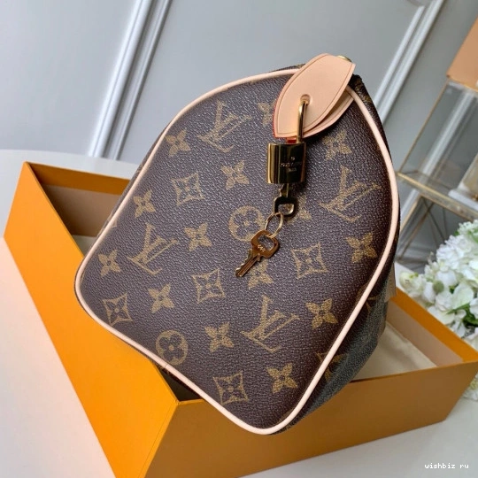 WIS SPEEDY Louis Vuitton 25 0114